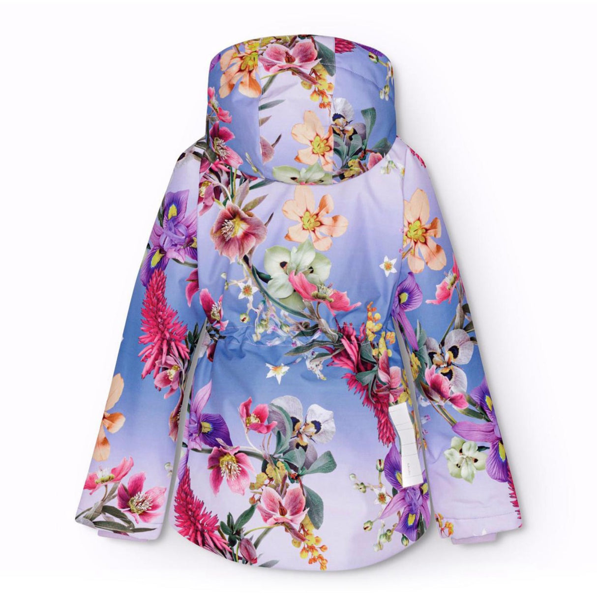 Molo Gradient Bloom Cathy Jacka