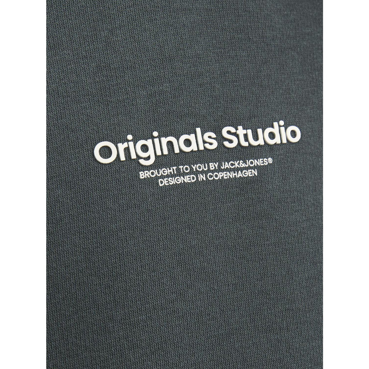 Jack & Jones Junior Forest River Jorvesterbro Sweat Hoodie Noos