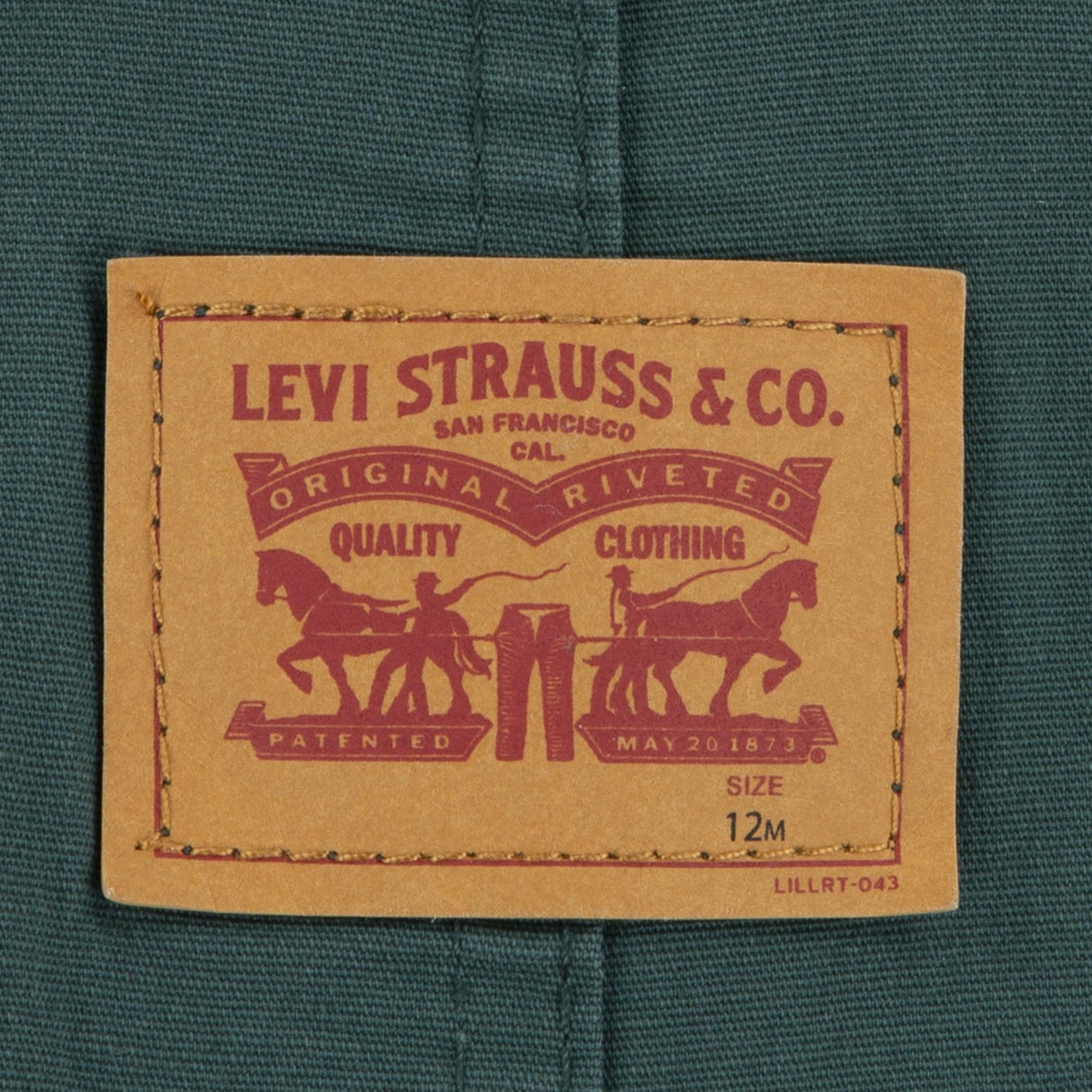 Levi's GREEN Carpenter Överalls