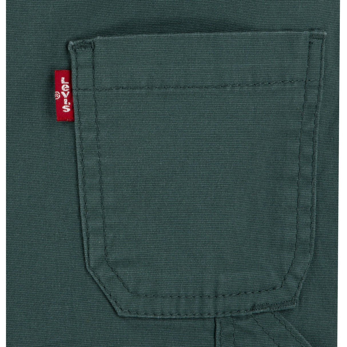 Levi's GREEN Carpenter Överalls