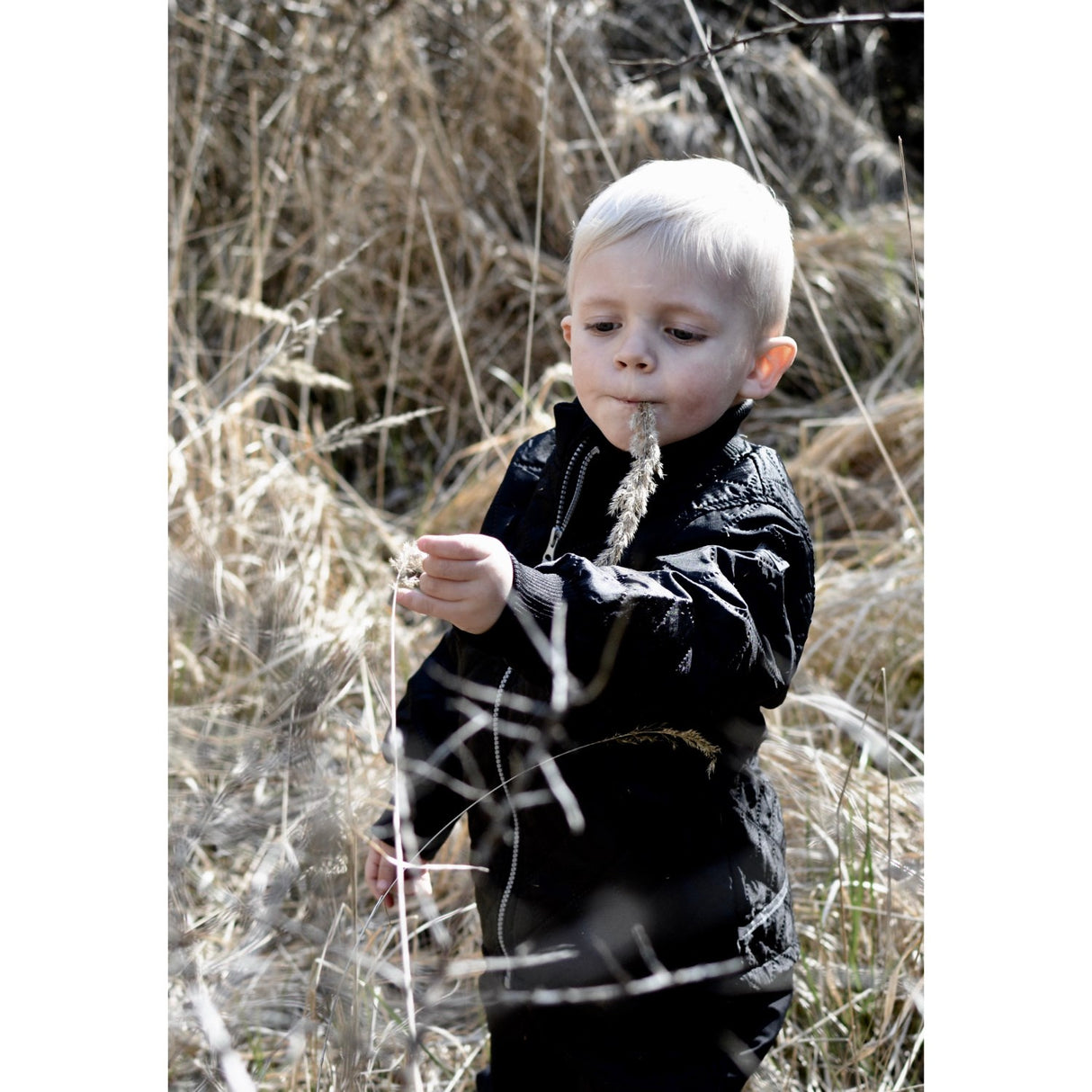 Mikk-Line Black Thermo Set