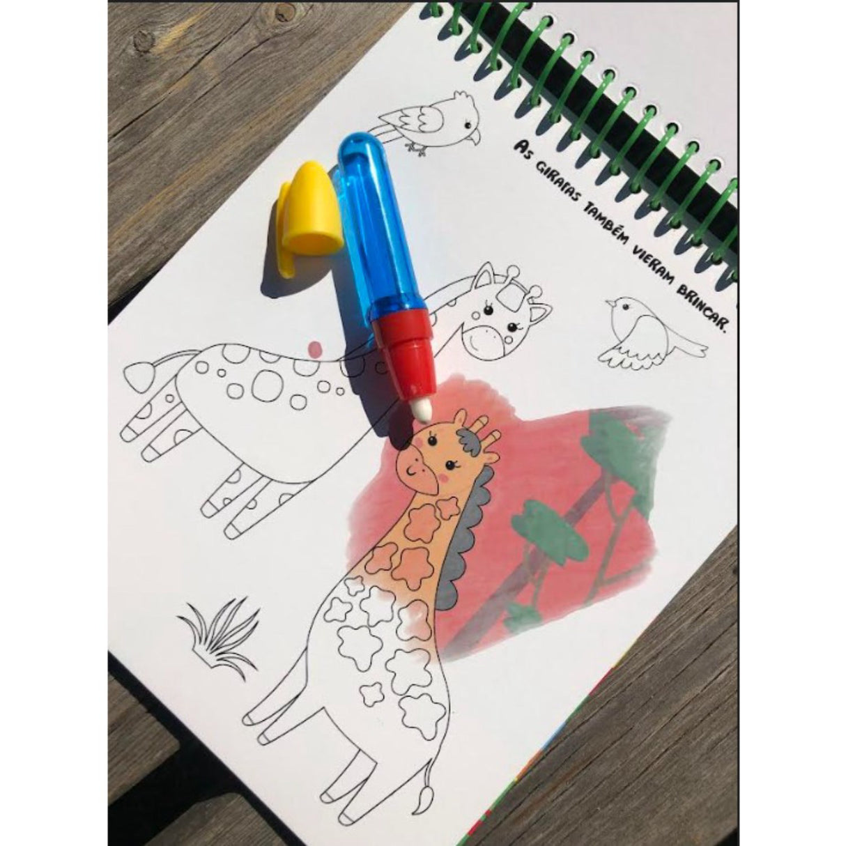 Forlaget Bolden Magisk Målarbok: Vilde Dyr