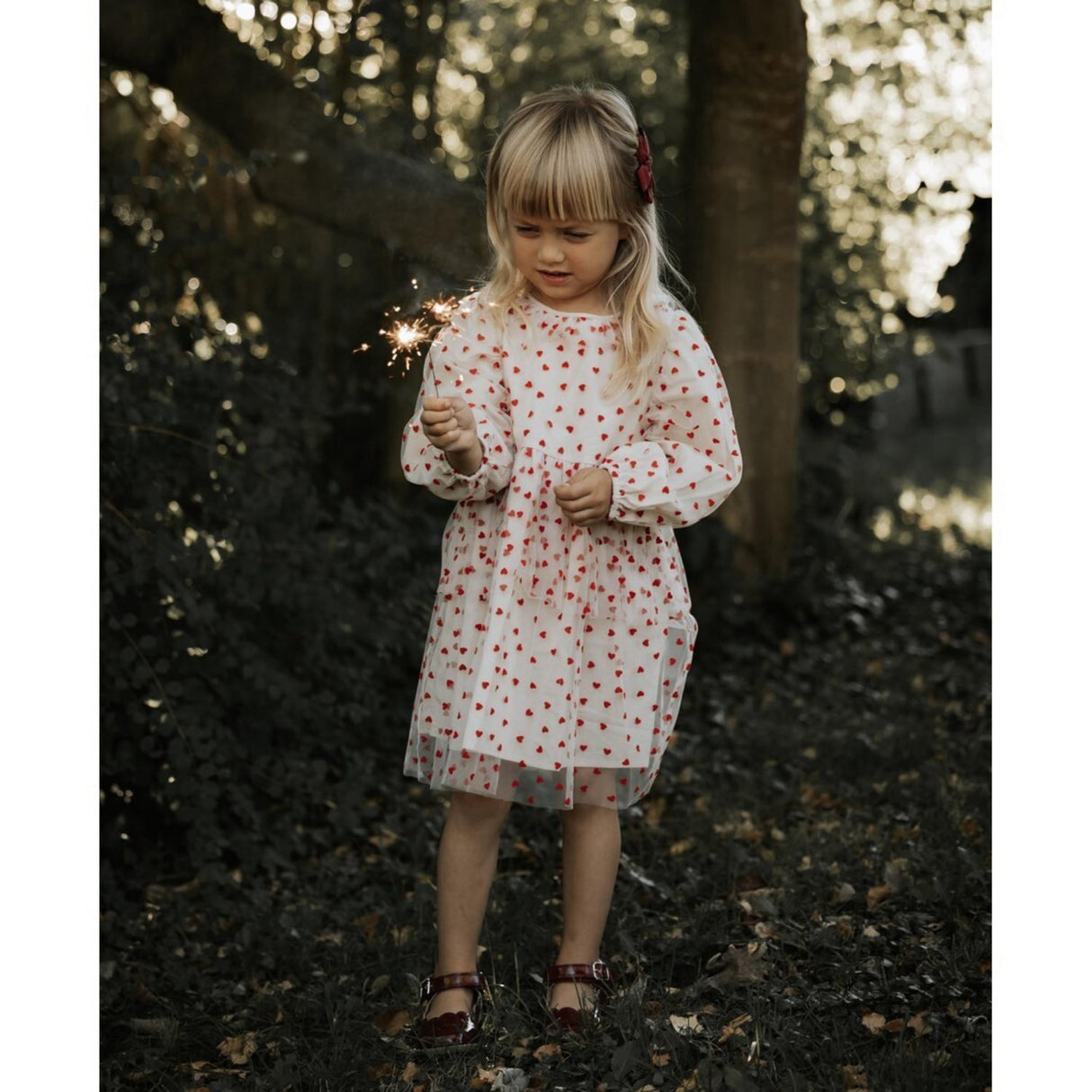 Fliink Sandshell/ Pompeian Röd Tyll Hjärta Klänning