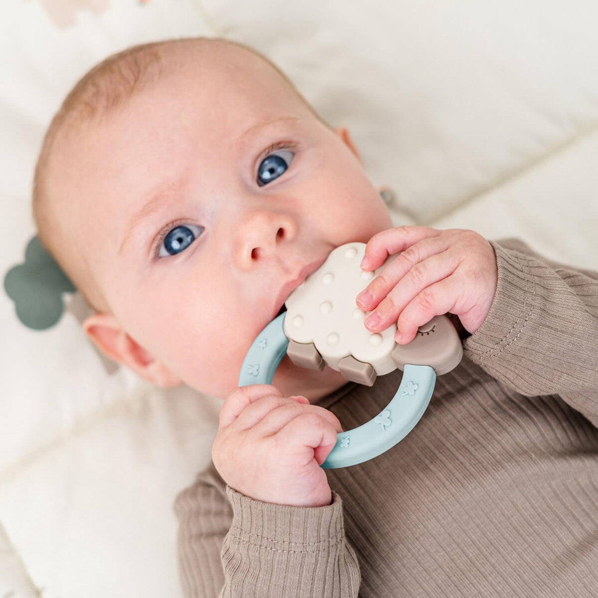 DonebyDeer Blå Bitring Sheepy