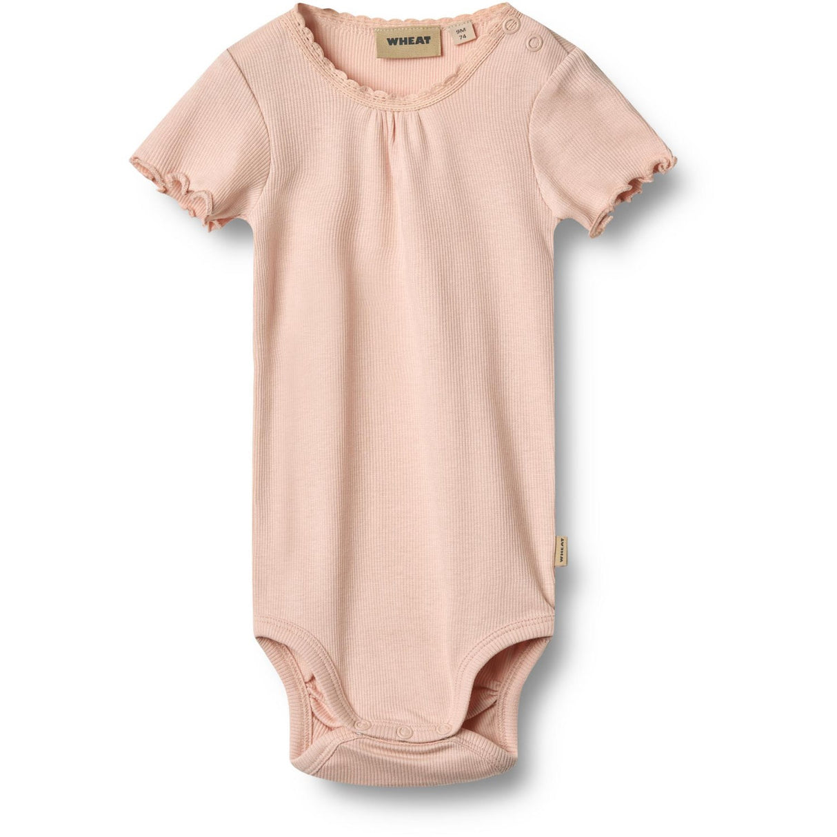 Wheat Powder Rib Body S/S Edna