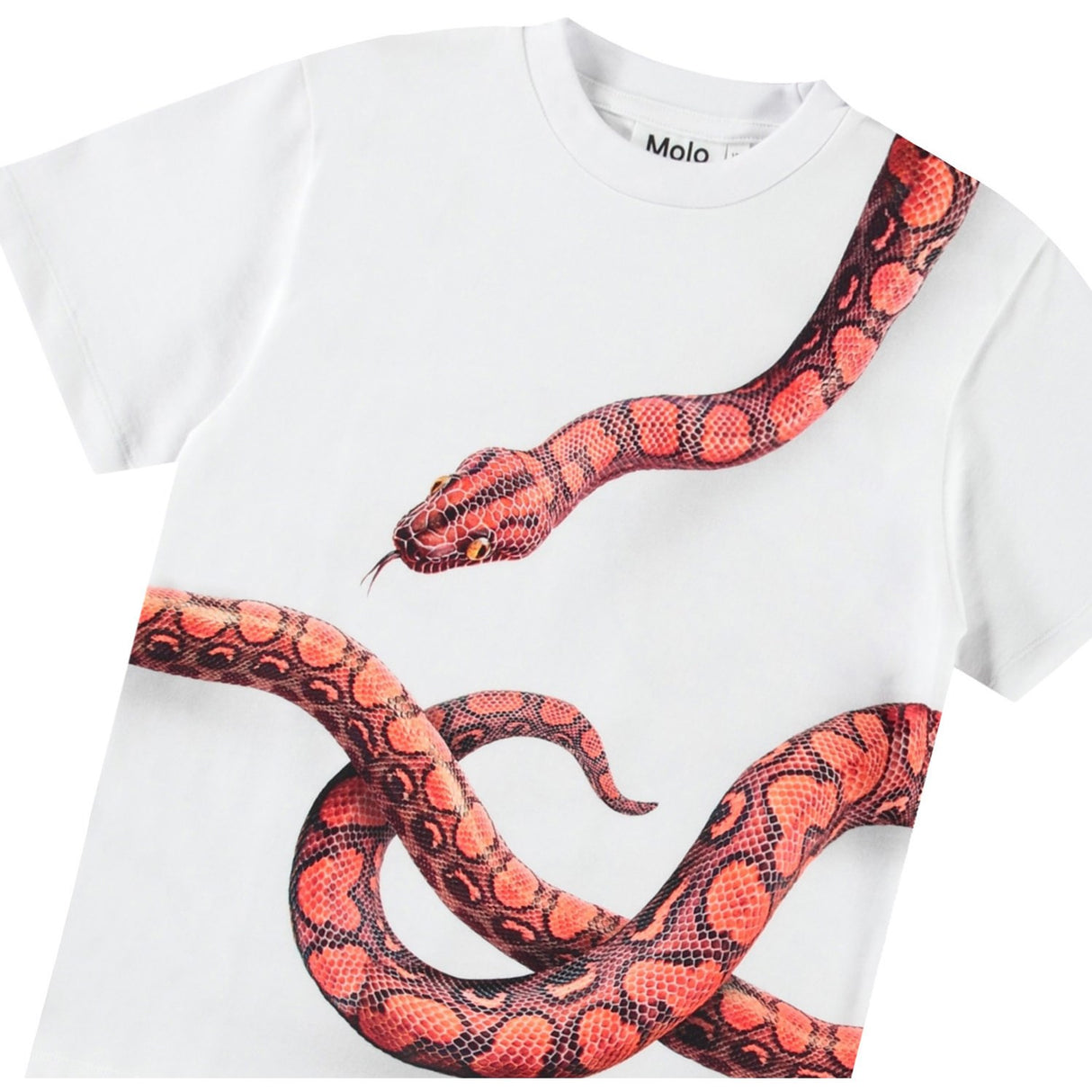 Molo Red Snake Rubin T-Shirt