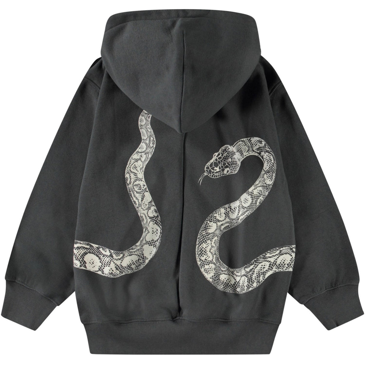 Molo Unexplored Mazzo Hoodies