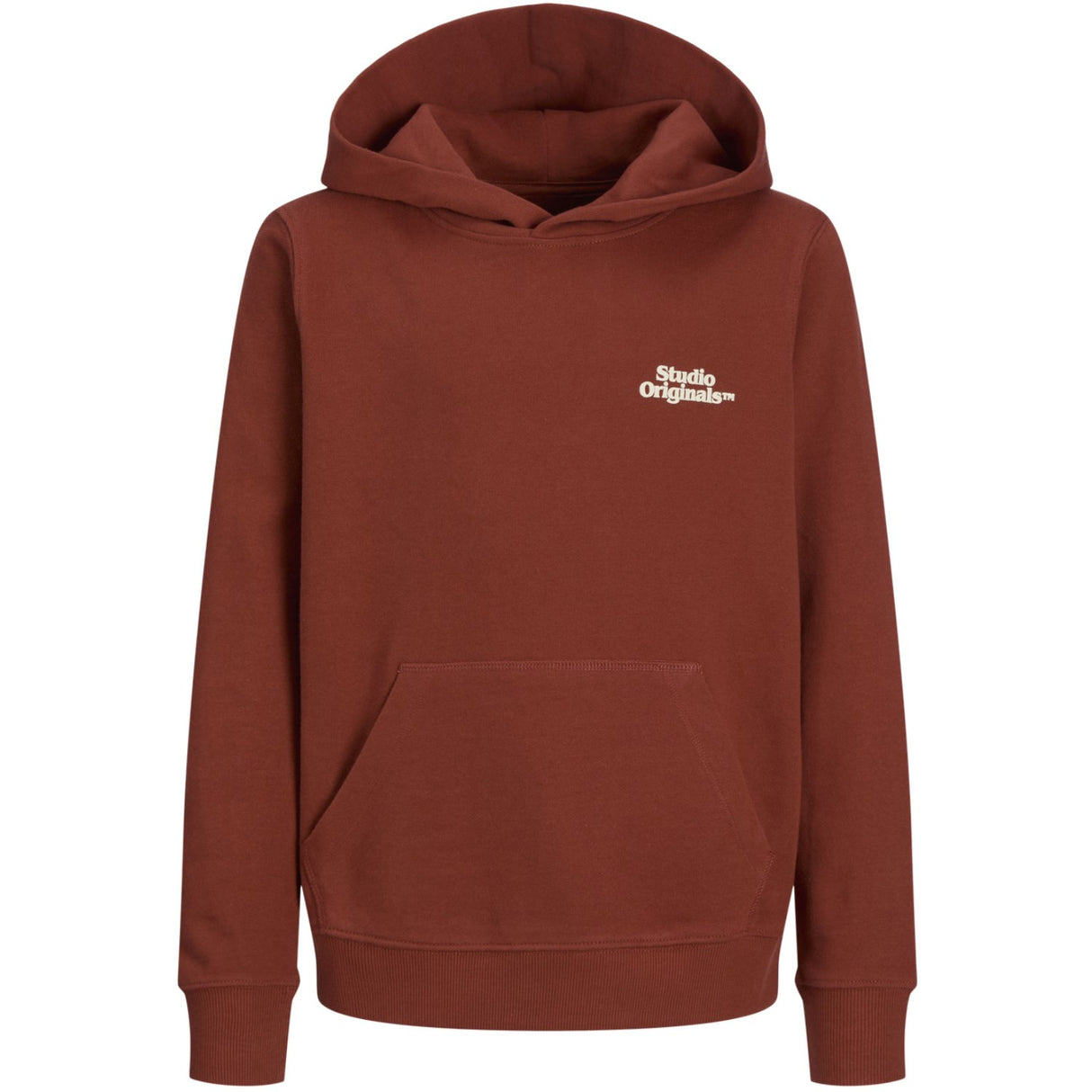 Jack & Jones Junior Arabian Spice Aros Type Sweat Hoodies Back