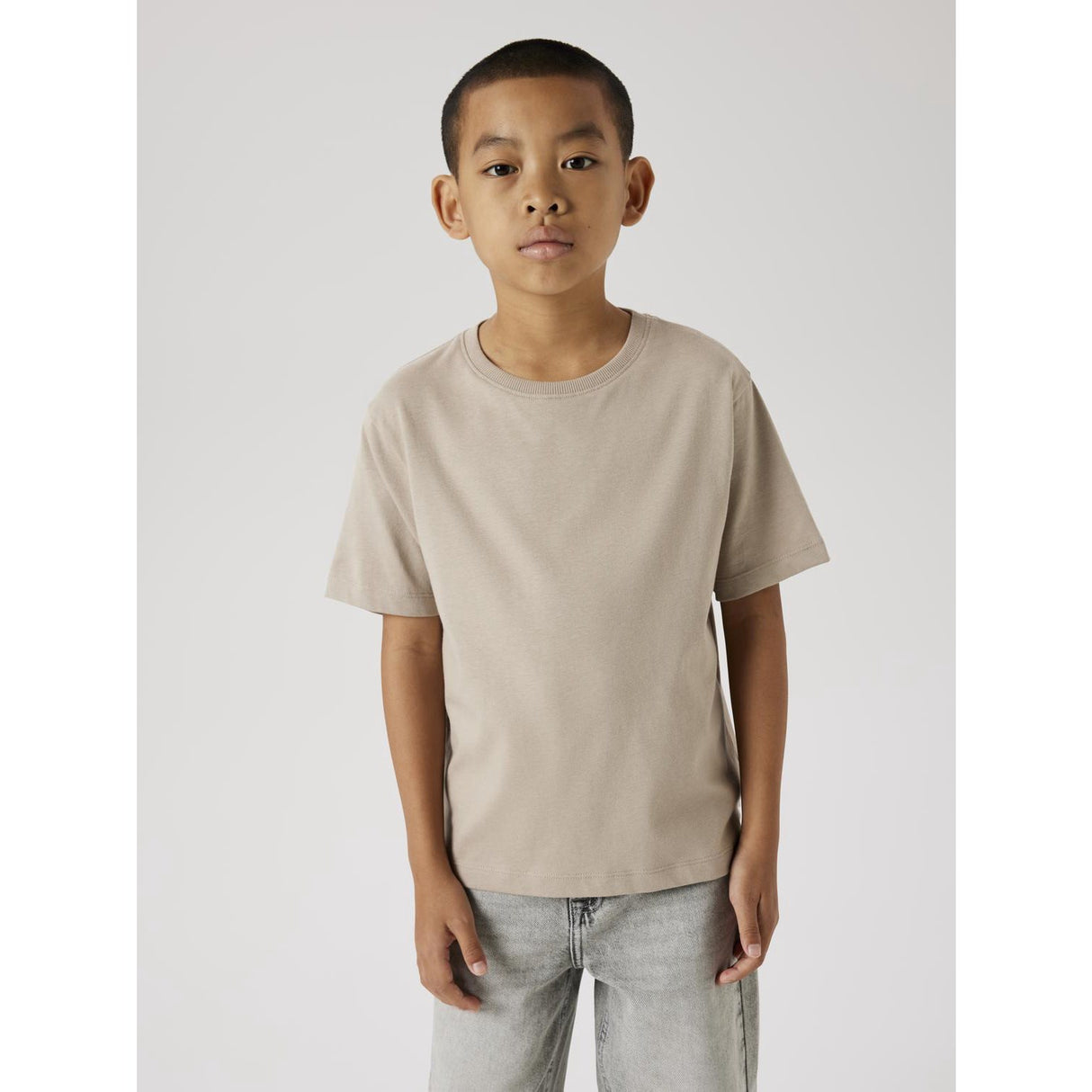 Name It Pure Cashmere Vobbo Regular T-Shirt Noos