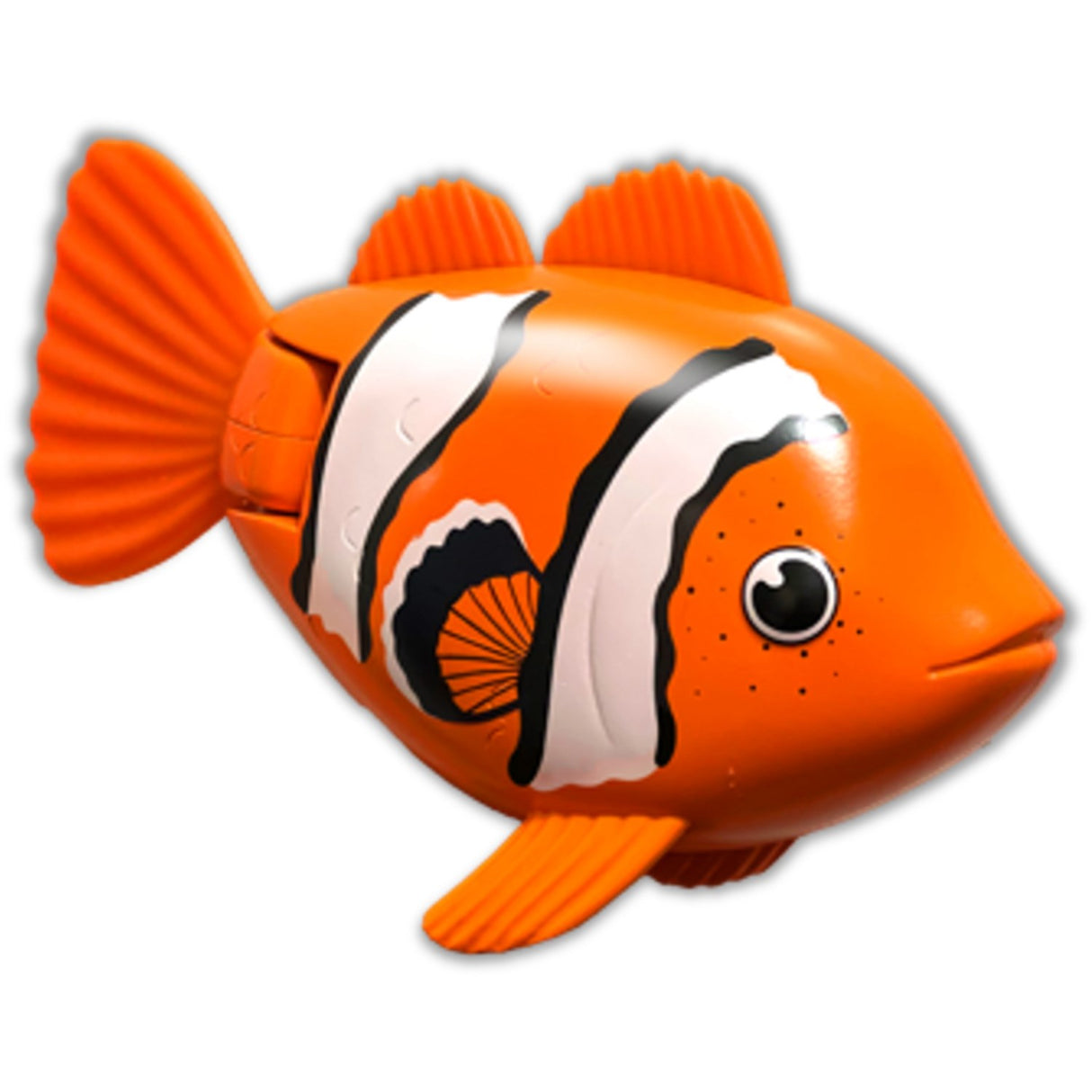 Rainbow Reef Fish Klovnfisk