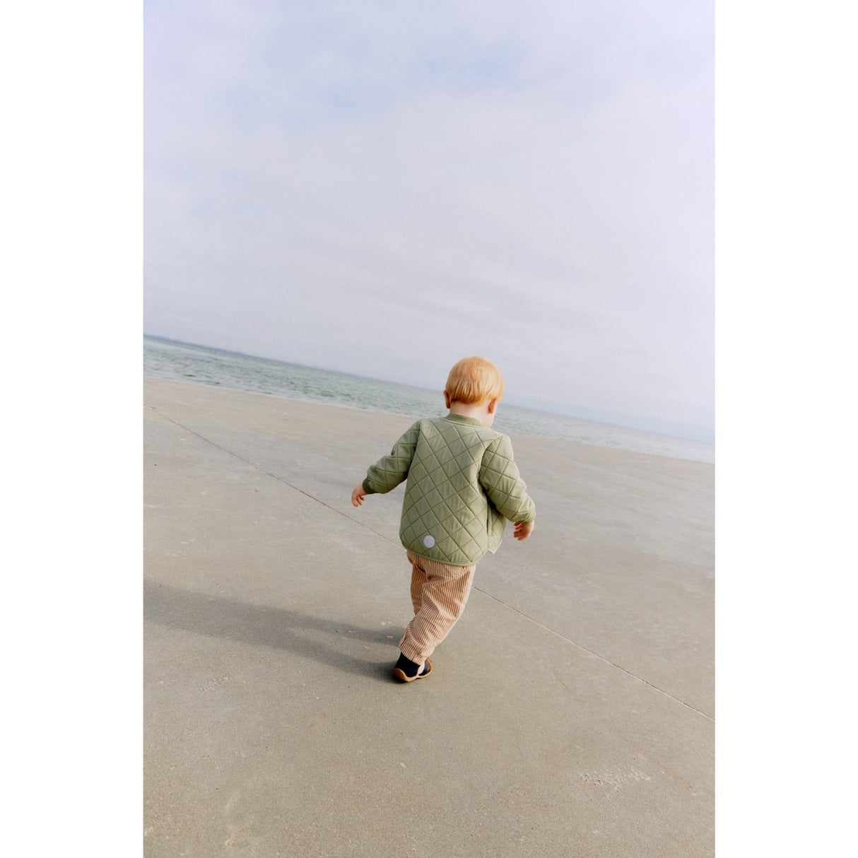 Wheat Green Tea Thermo Jacka Loui