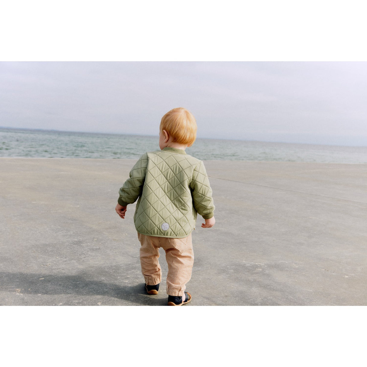 Wheat Green Tea Thermo Jacka Loui