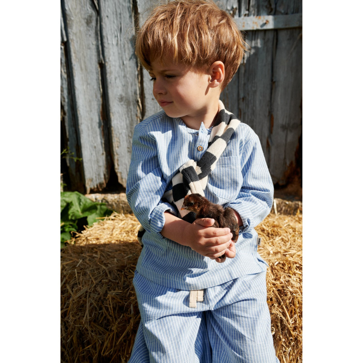 Wheat Blue Stripe Skjorta Bjørk