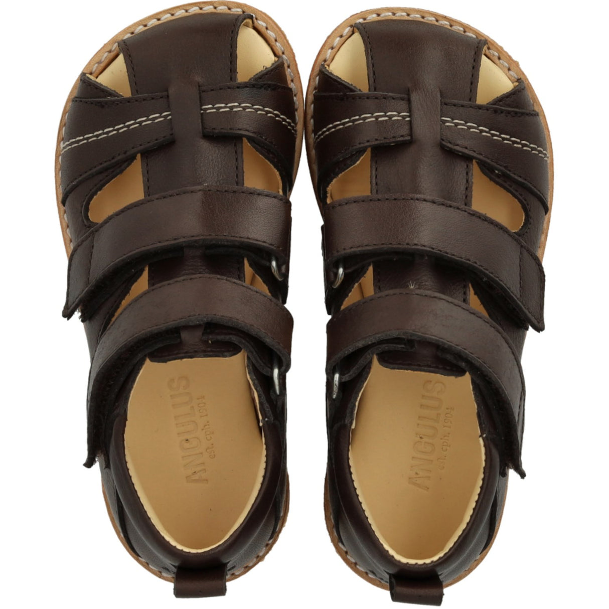 Angulus Dark Brown Börjar Sandal Med Kardborrebandlukning