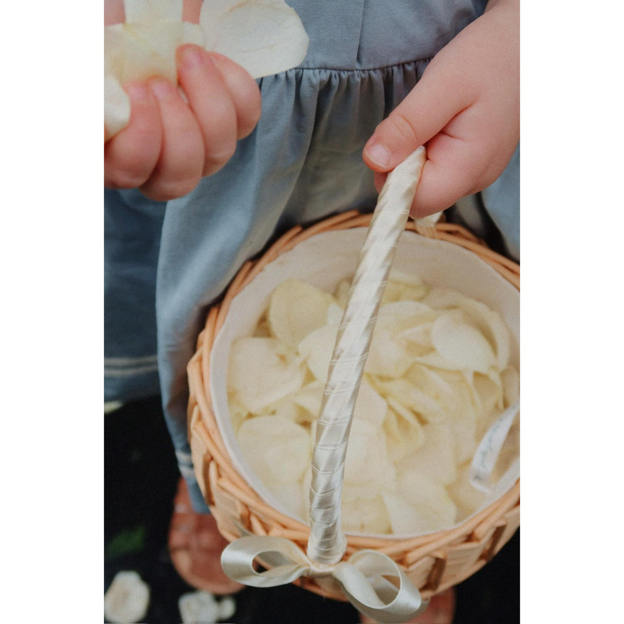 Konges Sløjd Eggnog Celebration Korg