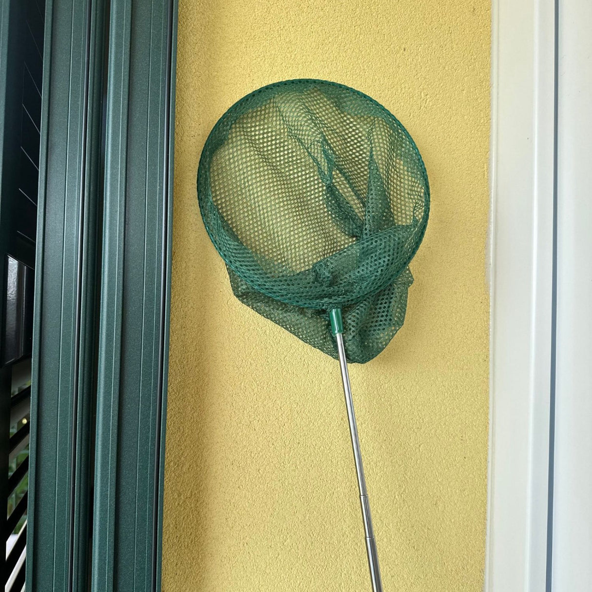 Scrunch & Follow The Duck Dark Moss Green Hink Och Fiskenet Bundle