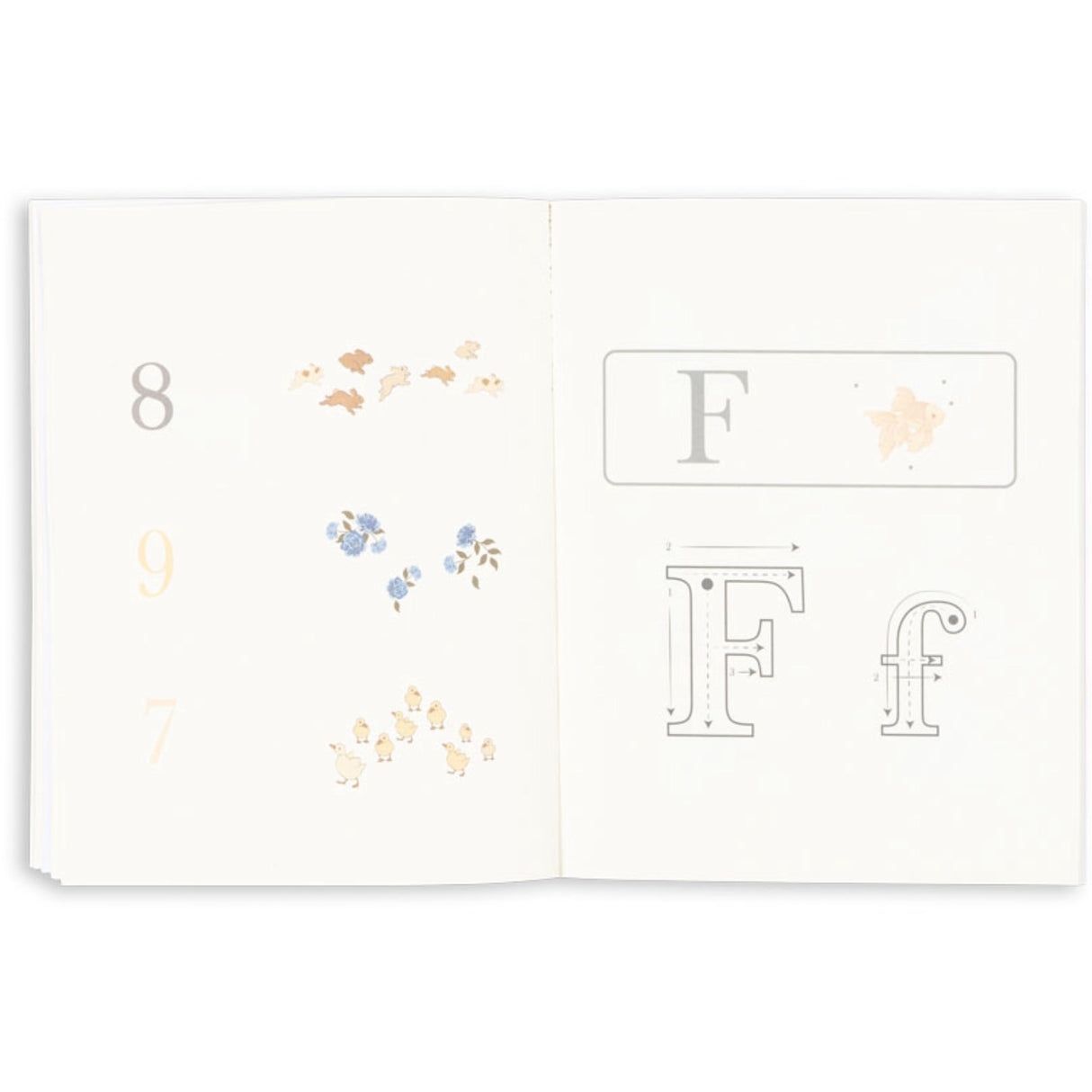 Konges Sløjd Multi Aktivitetsbok Med Färg Pencils