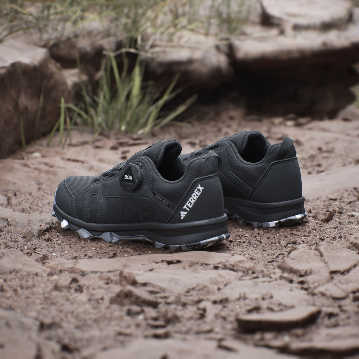 adidas Originals Core Black/Ftwr White/Grey Three Terrex Agravic Boa R.Rdy K Skor