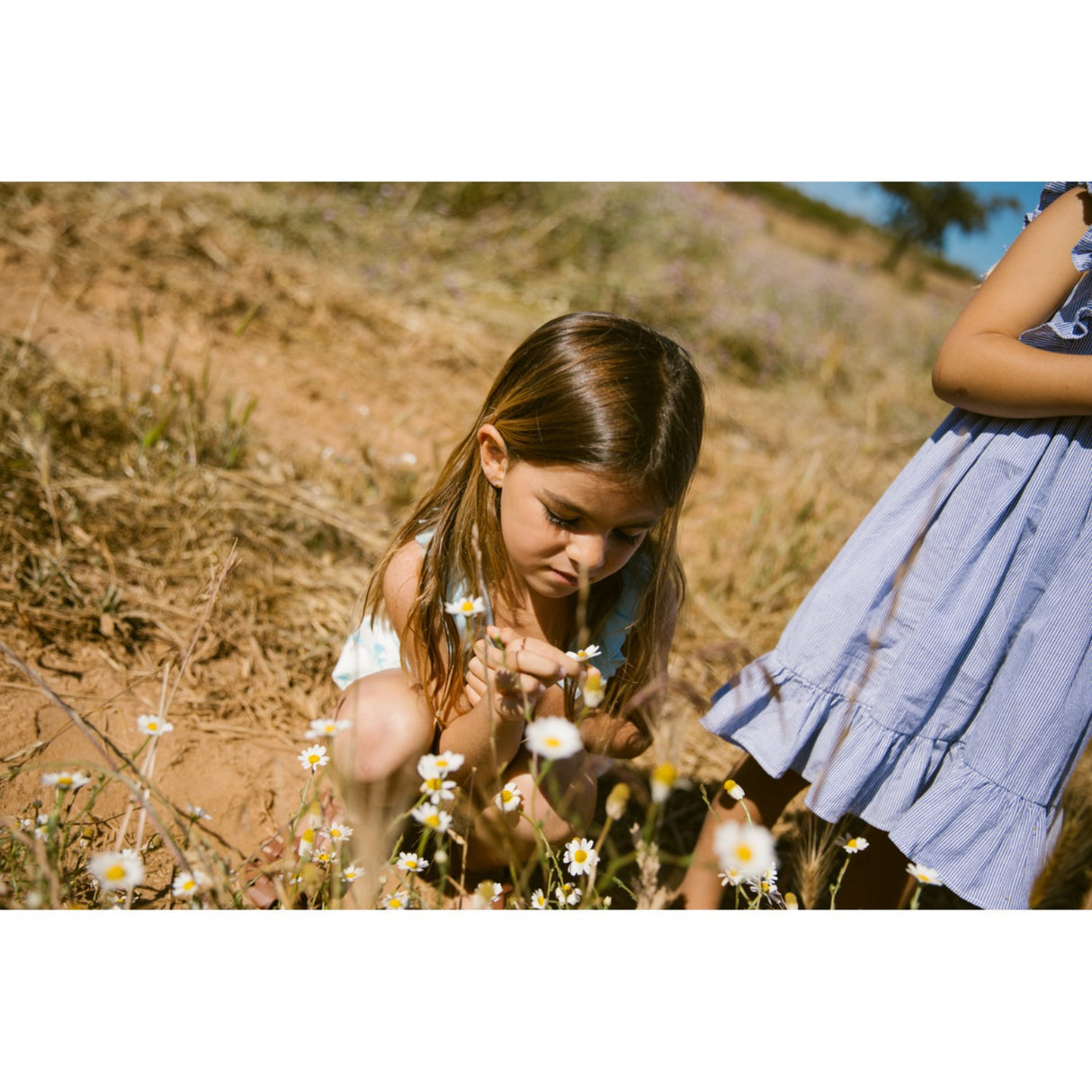 MarMar Fine Cotton Navy Stripe Danita Frill Klänning