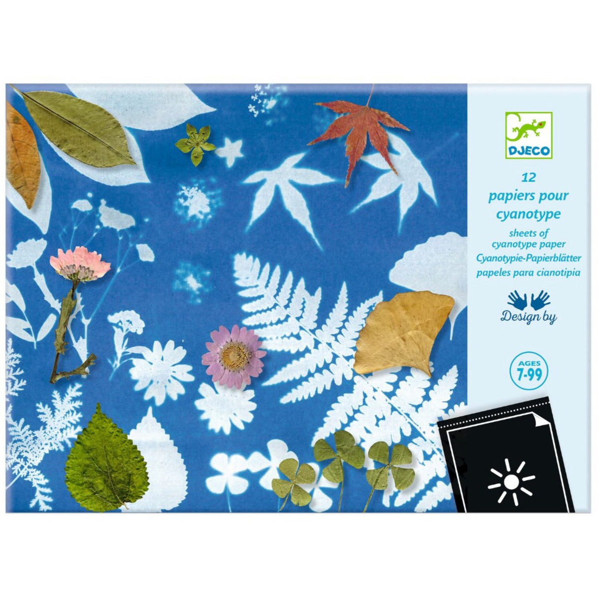 Djeco Cyanotype, Papir