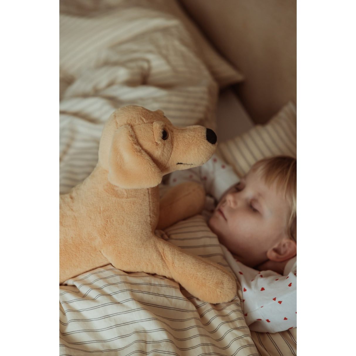 från Astrup Gravitational Dog, 2.2 kg.