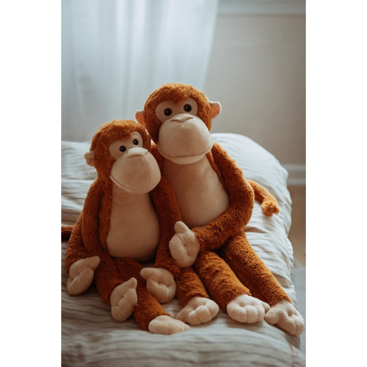 av Astrup Gravity, apa, 1,8 kg.