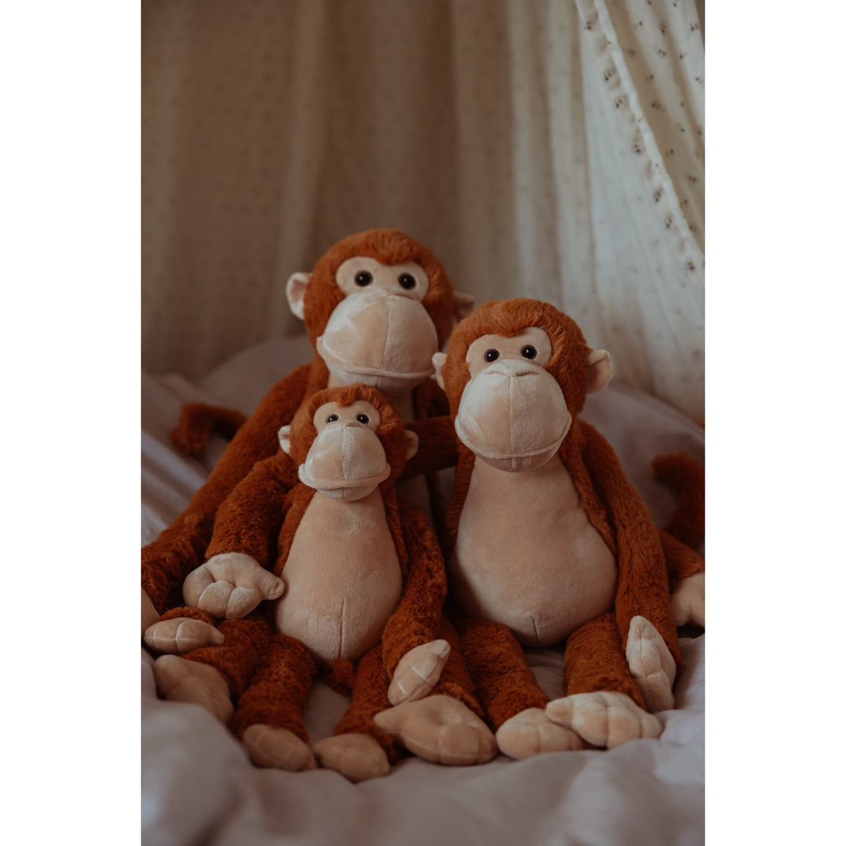 av Astrup Gravity, apa, 1,1 kg.