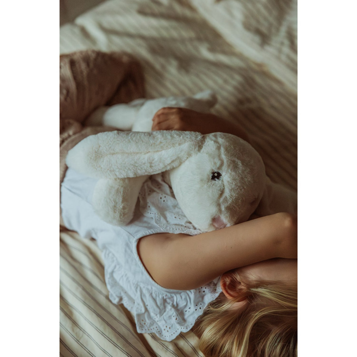 av Astrup Gravitational Animal, Kanin, 1.2 kg.