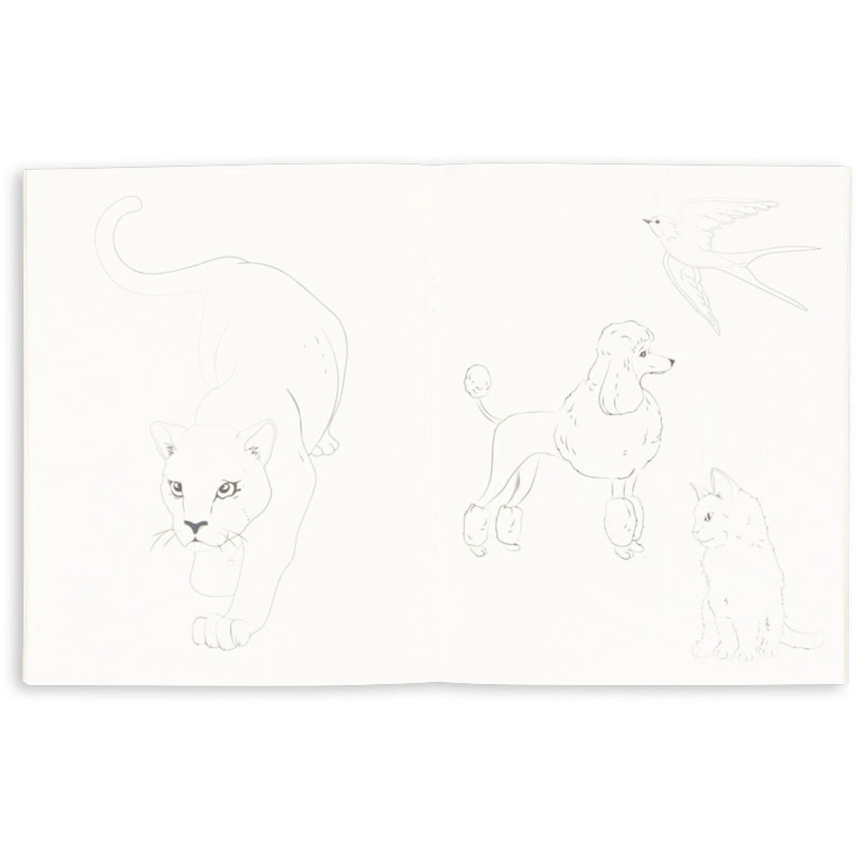 Konges Sløjd Green Tea Check Målarbok och Färg Pencils Fsc