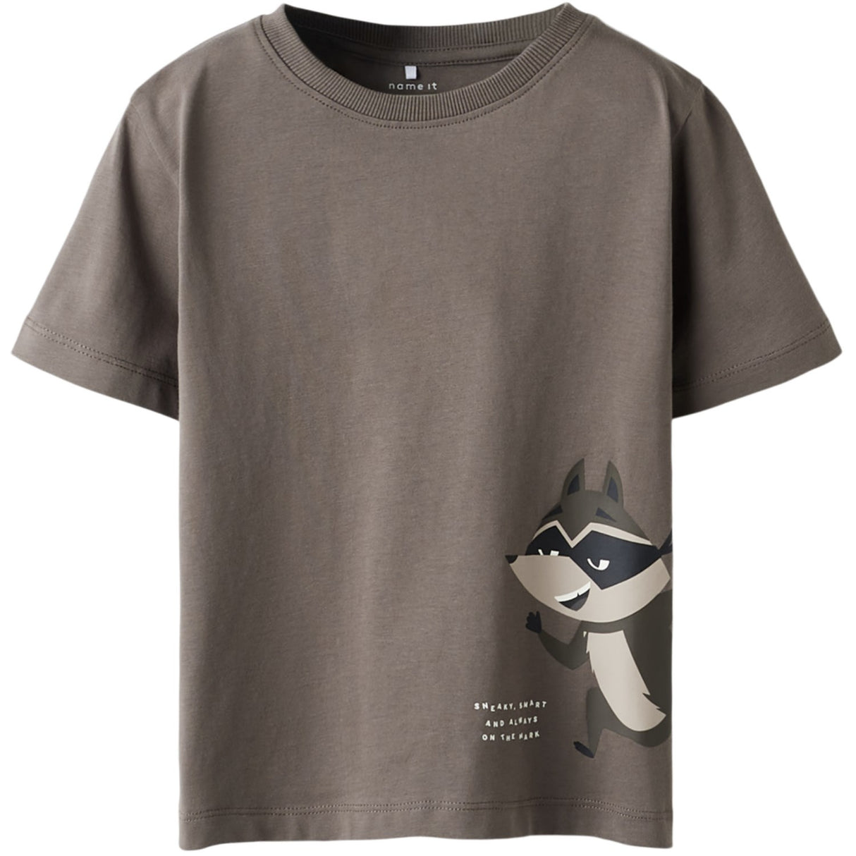 Name It Falcon Nmmkester Ss Nreg Topp