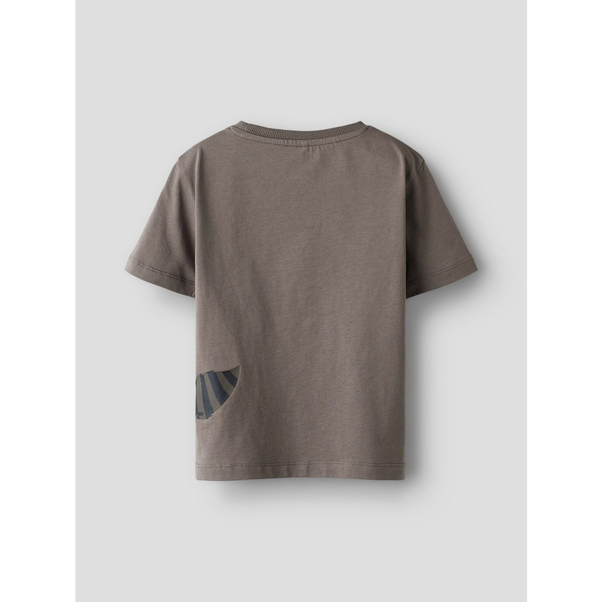 Name It Falcon Nmmkester Ss Nreg Topp