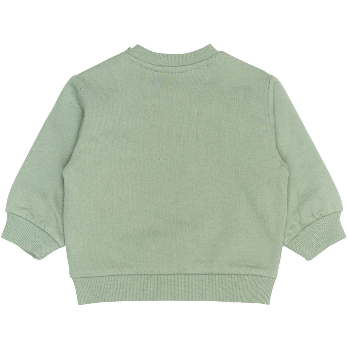 THE NEW Siblings Lily Pad Rex Sweatshirt