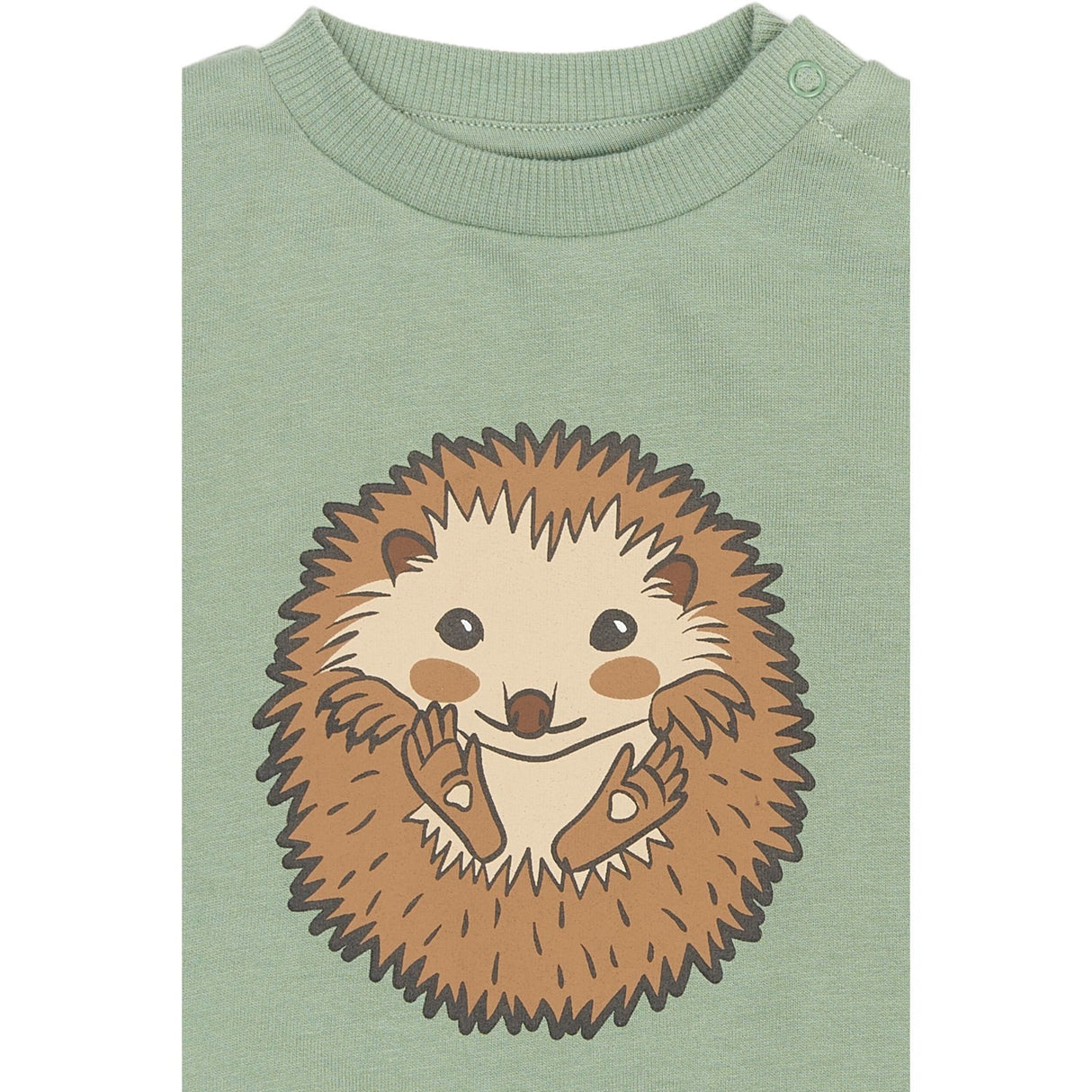 THE NEW Siblings Lily Pad Rex Sweatshirt