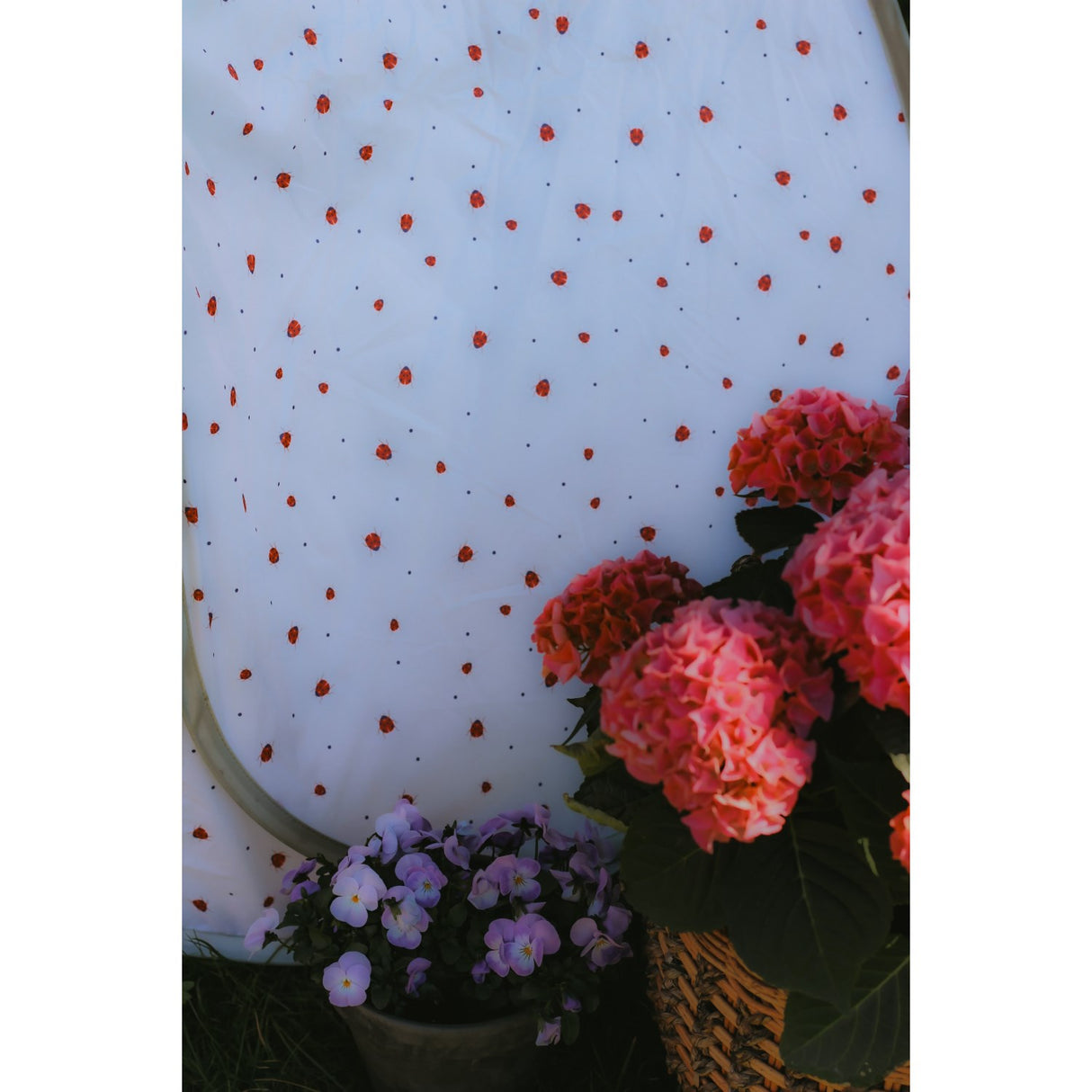 Vanilla COPENHAGEN English Rose - Lady Lovebug Pop-Up Tält Classic - UV50+