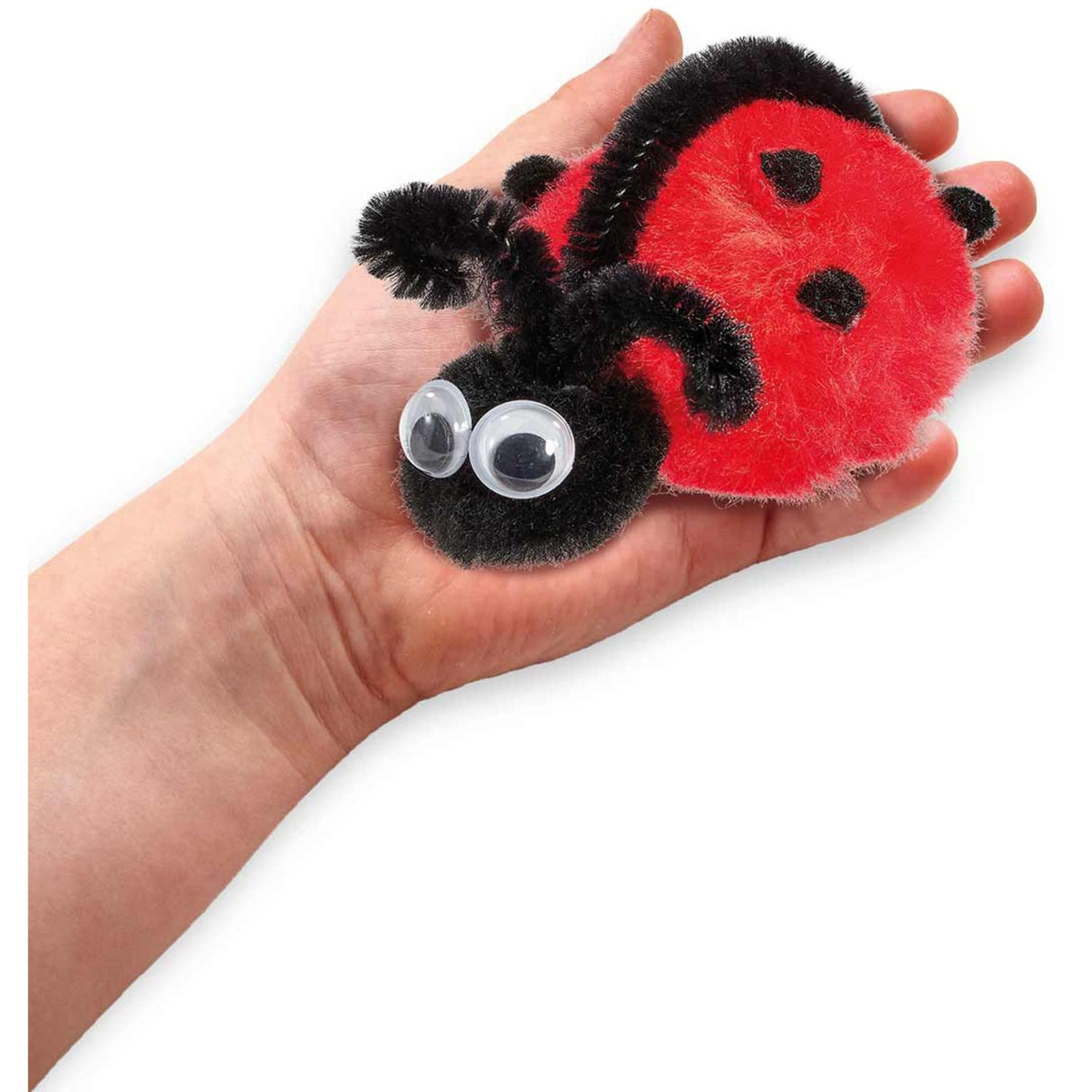 Out Of The Box Pompondyr