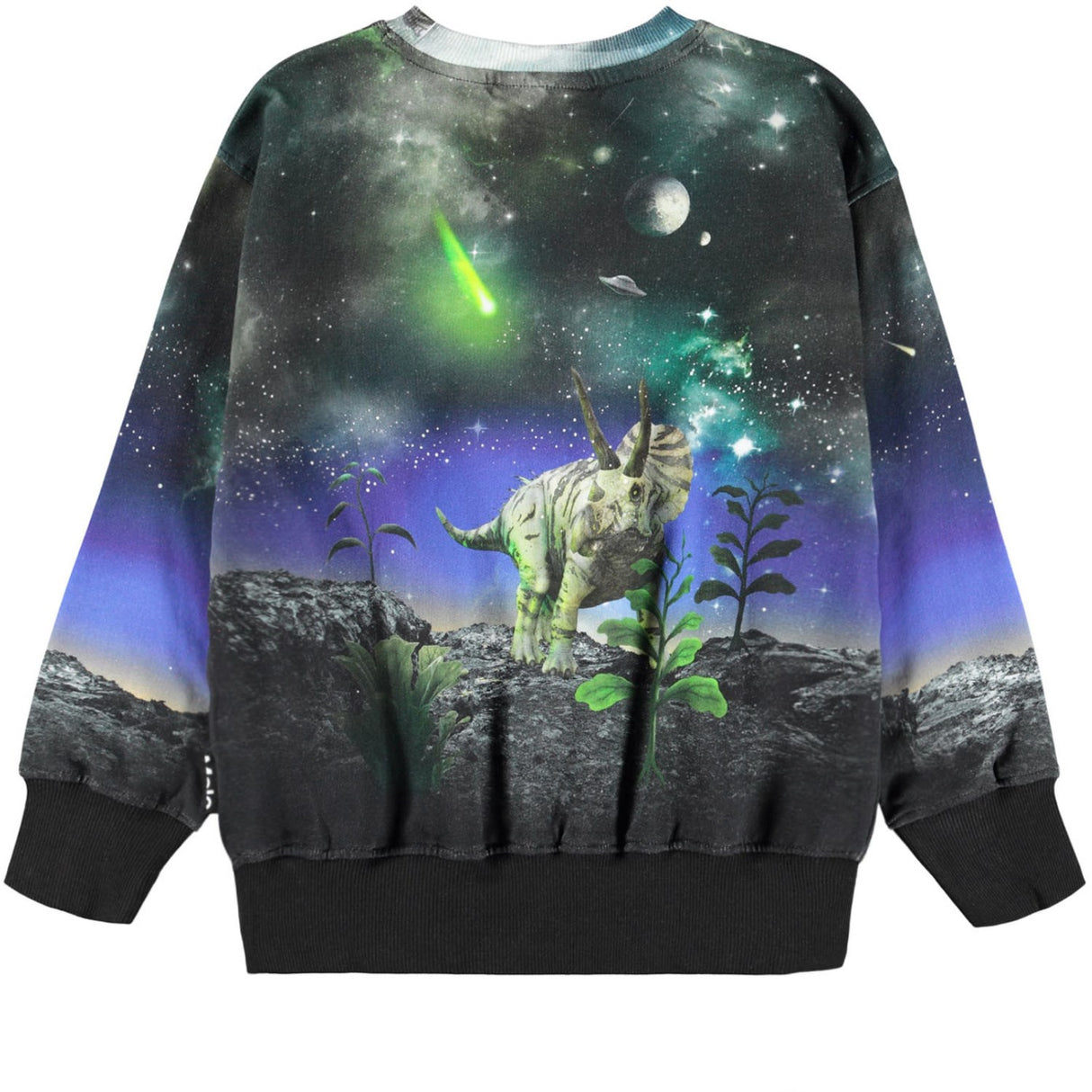 Molo Dino Drama Mattis Sweatshirt