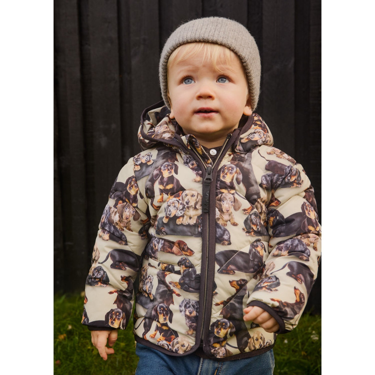 Molo Dashshund Soft Harmony Jacka