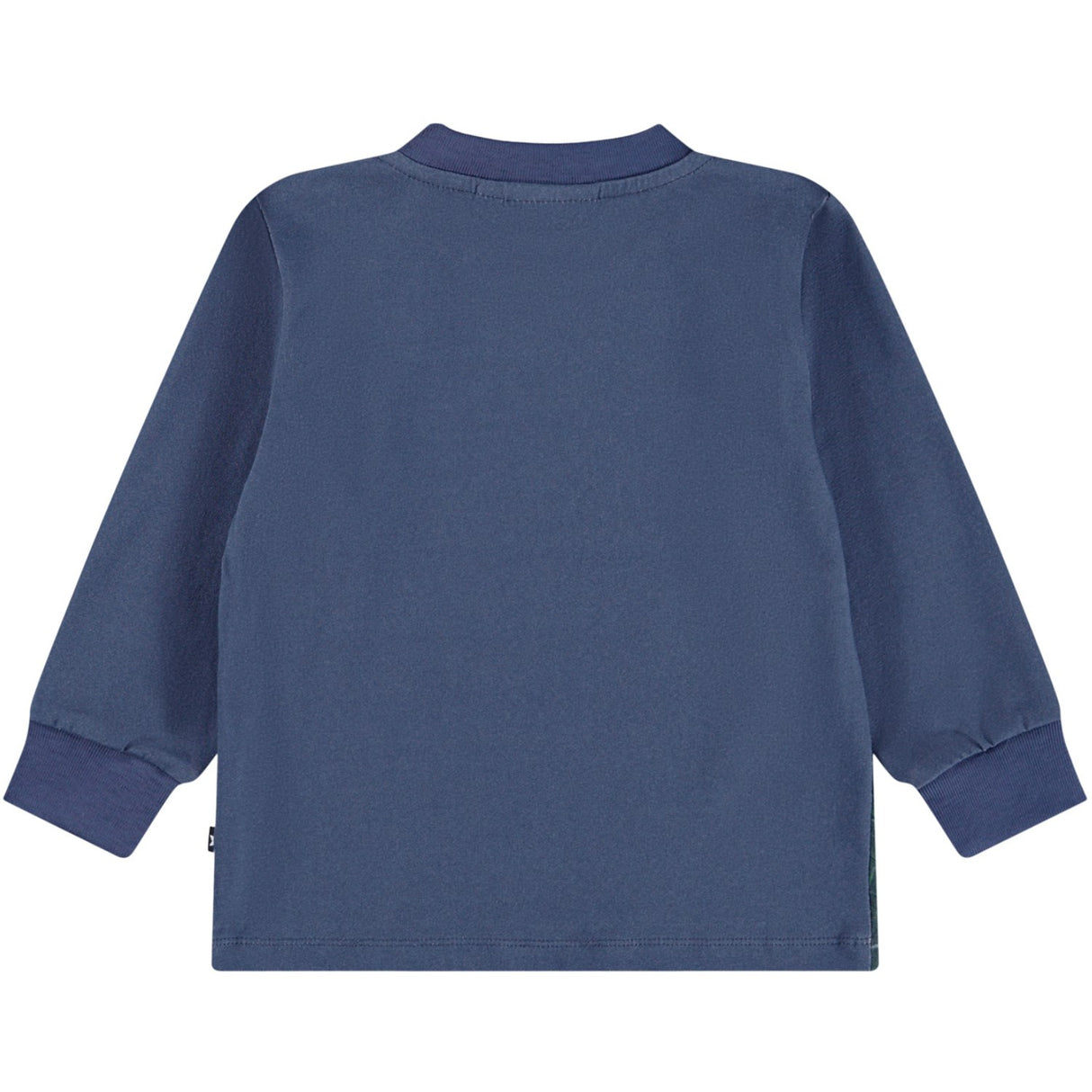 Molo Dachshund Cubs Eloy Blus