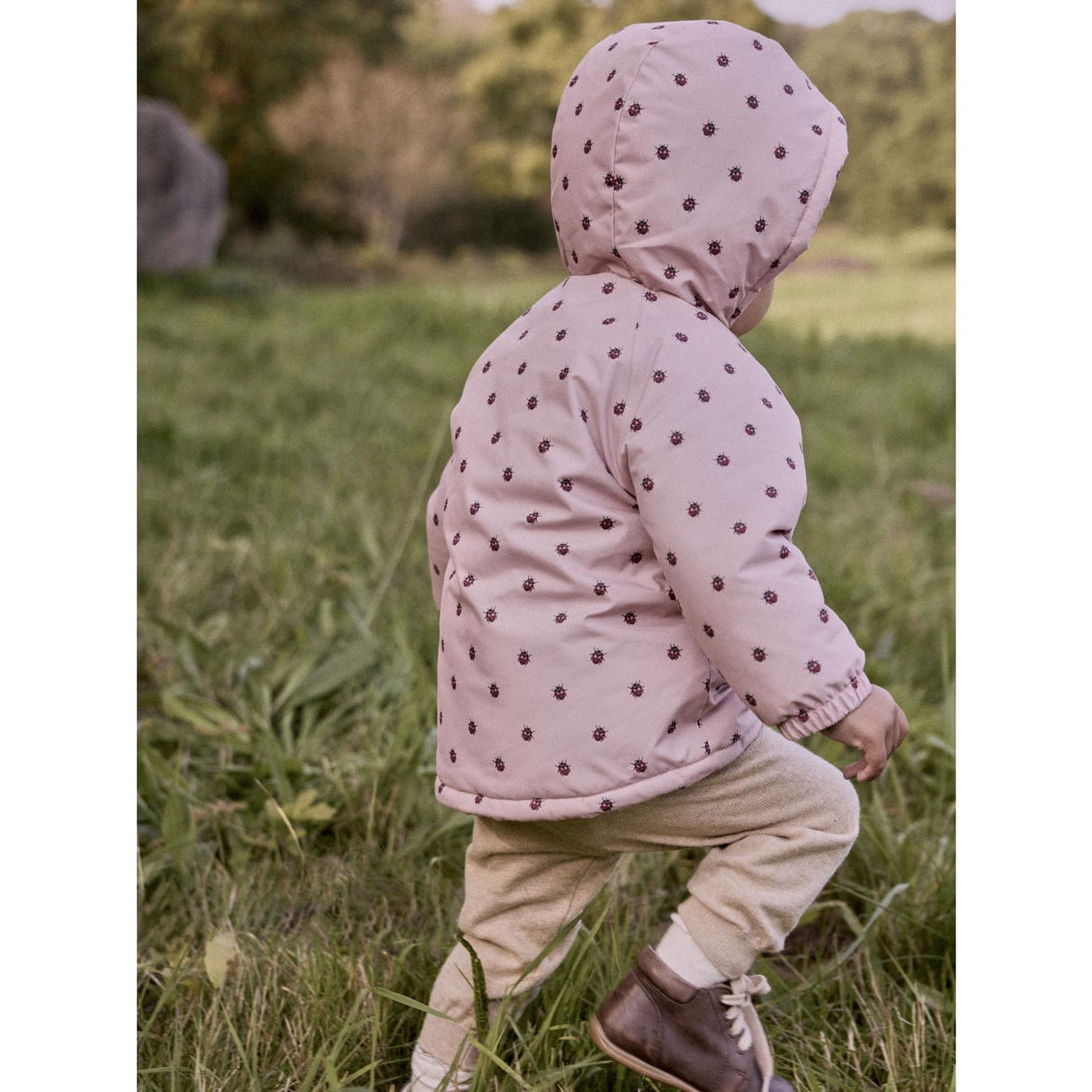 Lil'Atelier Misty Rose Ladybug Nbflasnow05 Jkt Aop Fo Lil