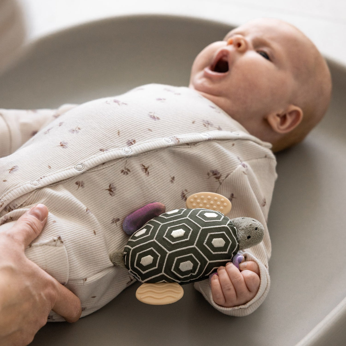 Sebra Turbo The Turtle Activity Skallra Med Spegel