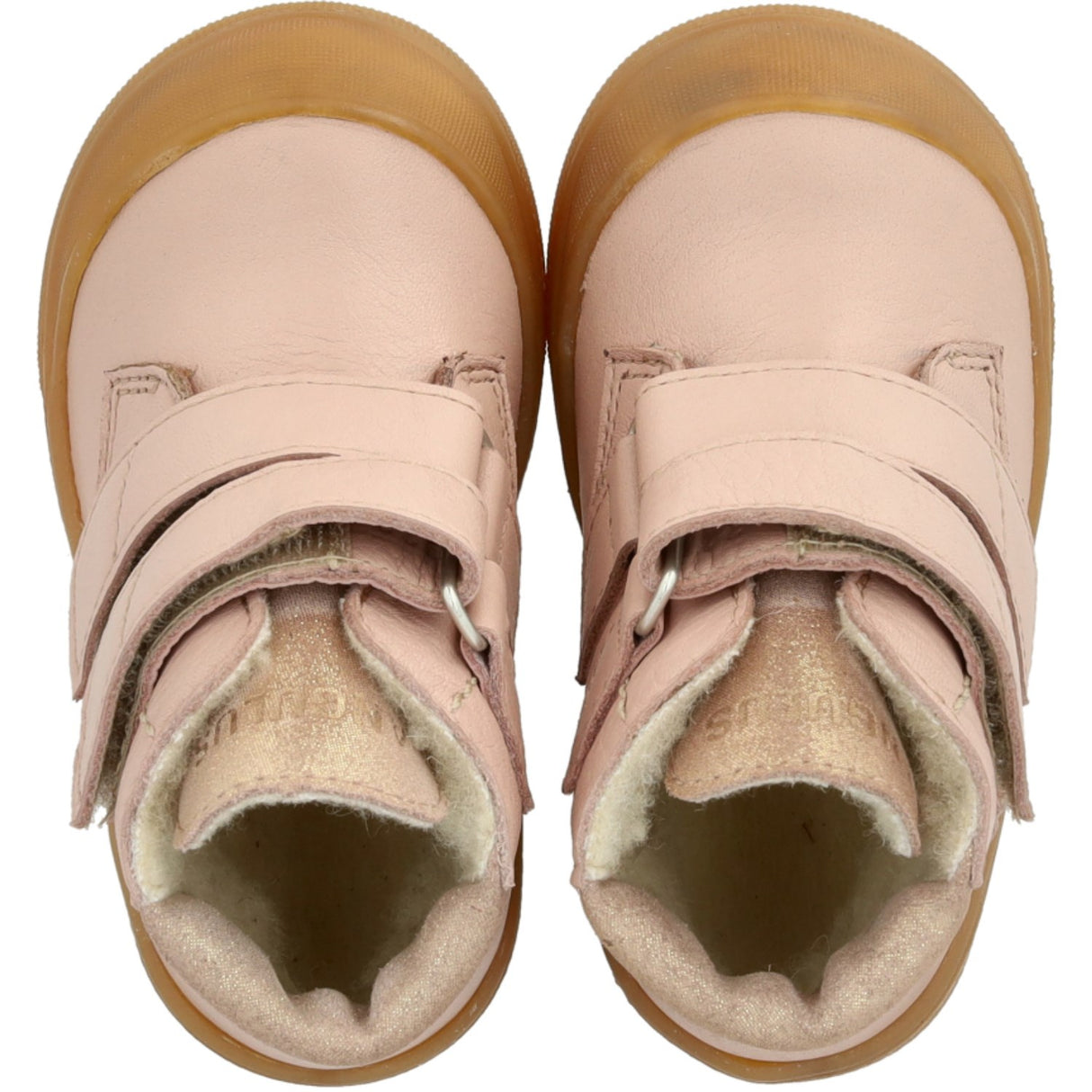 Angulus Rosebud/Rose Glitter Childs första TEX vinterkänga