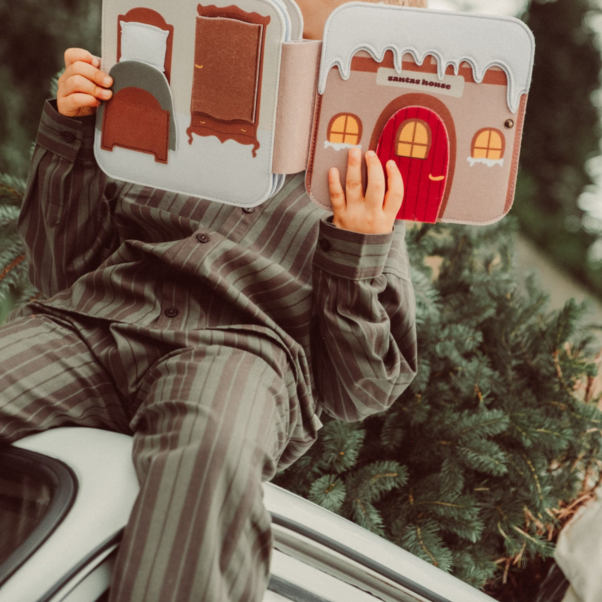 That's Mine Christmas Bear Emory Felt Activity Bok