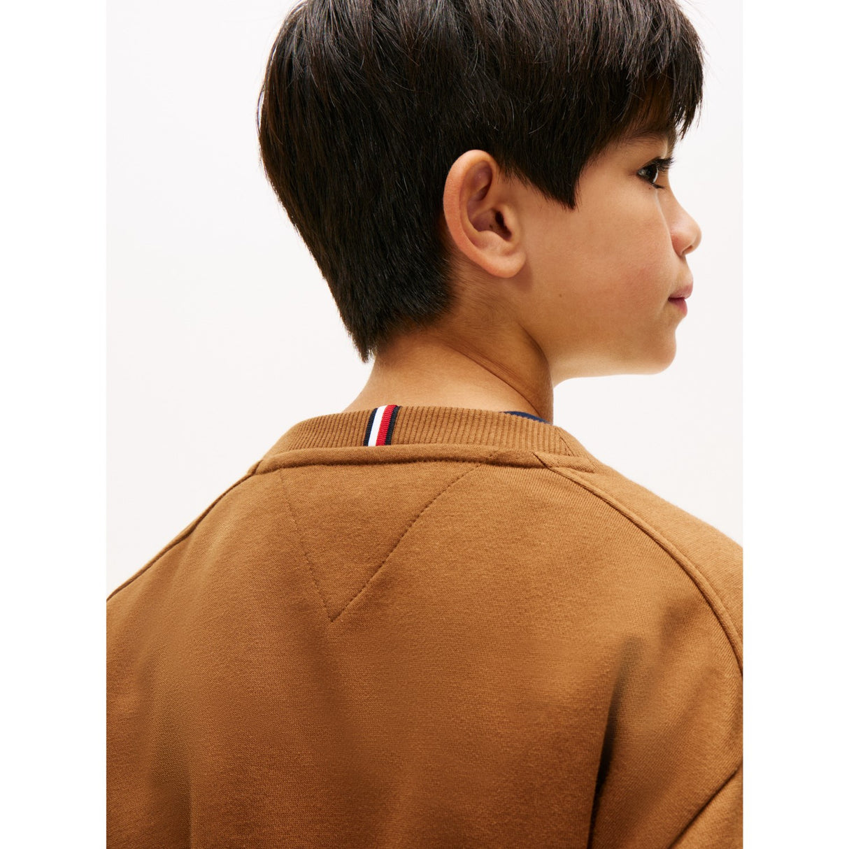 Tommy Hilfiger Pecan Nut Varsity Raised Print Sweatshirt