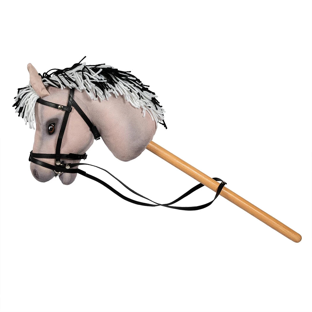 av Astrup Käpphäst, Luna, Grå, Kort Man