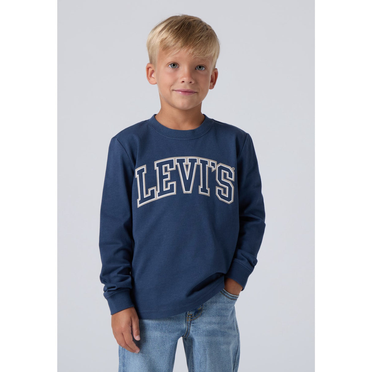Levi's Big Dipper Collegiate Ls Tee