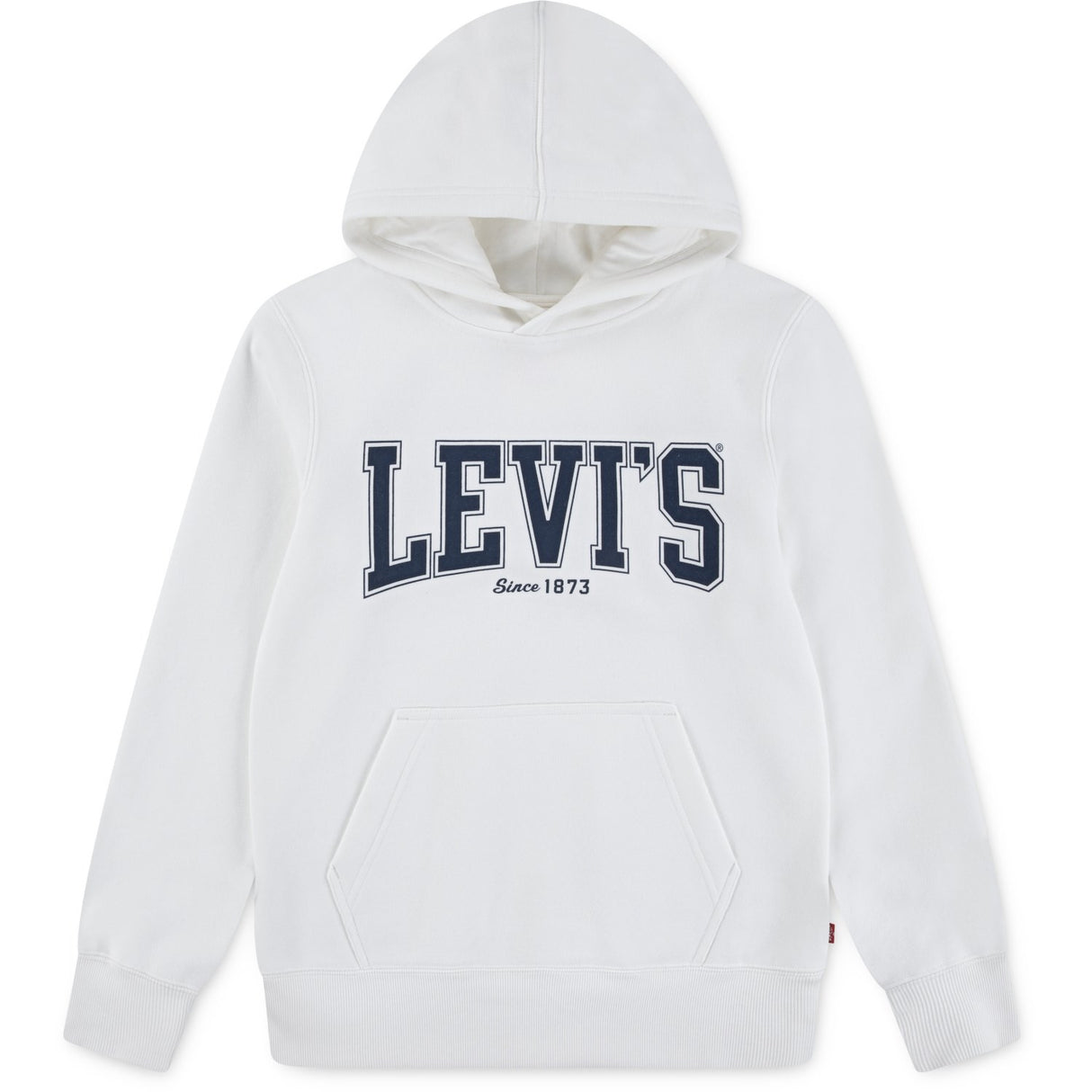Levi's Blanc De Blanc The Great Highway Hoodies