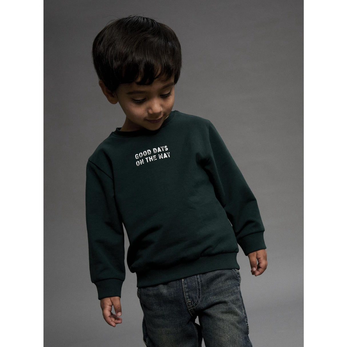 Name It Pine Grove Nmmslade Ls Nreg Sweat Bru
