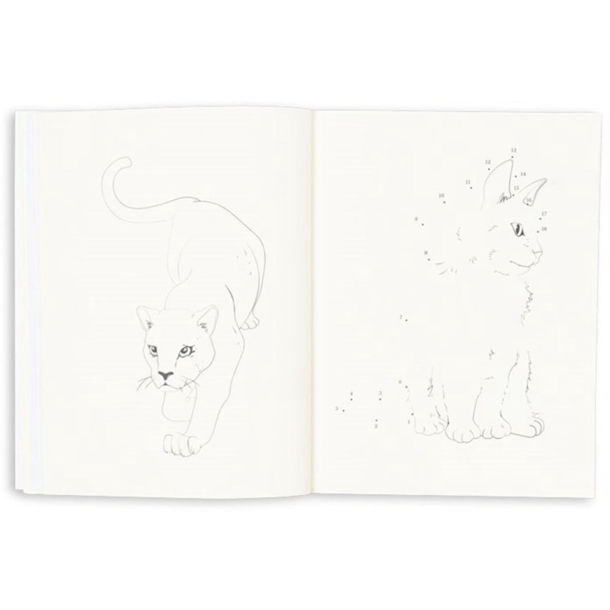 Konges Sløjd Multi Activity Bok Med Colouring Pencils