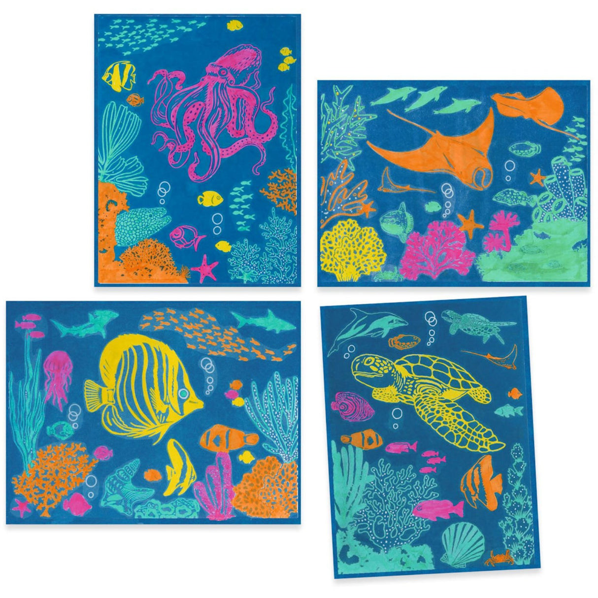 Djeco Cyanotypi/Ljust tryck, Hav