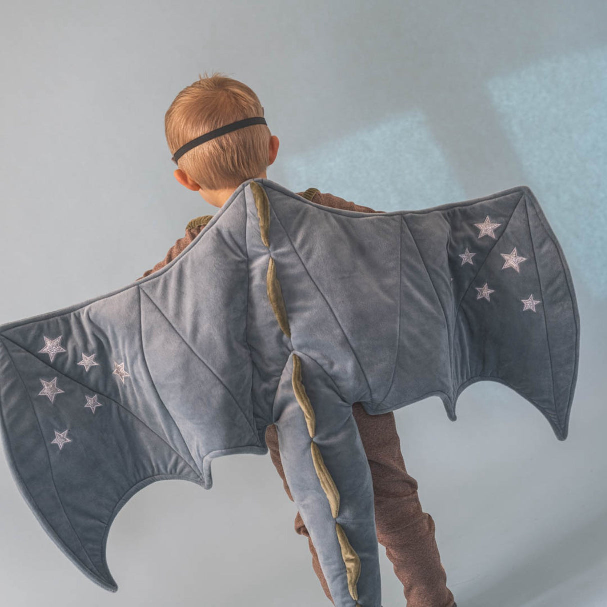 That's Mine Citadel Wilmer Dragon Sett